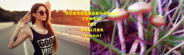 ALPHA PVP Абаза